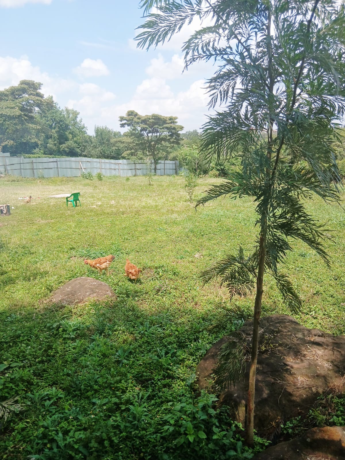 ½ Acre for Sale – Karen Off Bogani Road