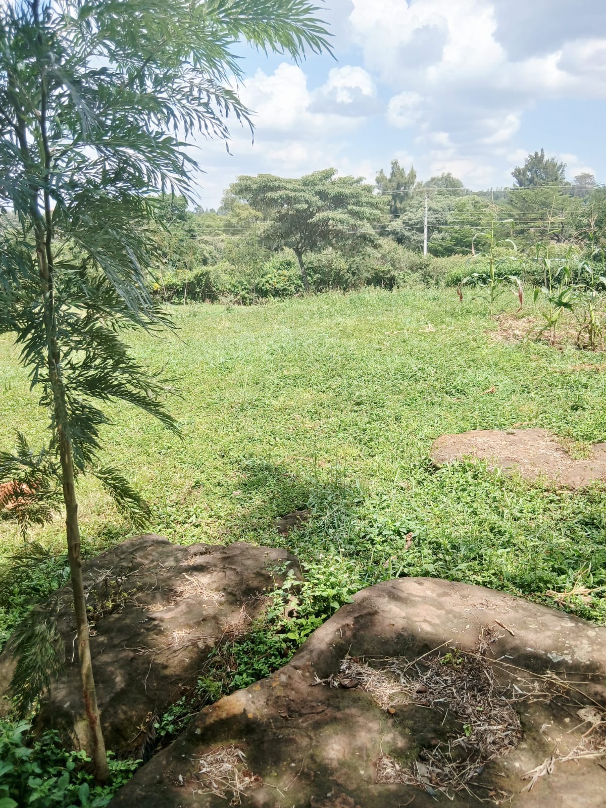 1.2 Acres for Sale – Karen Hardy – KES 70M