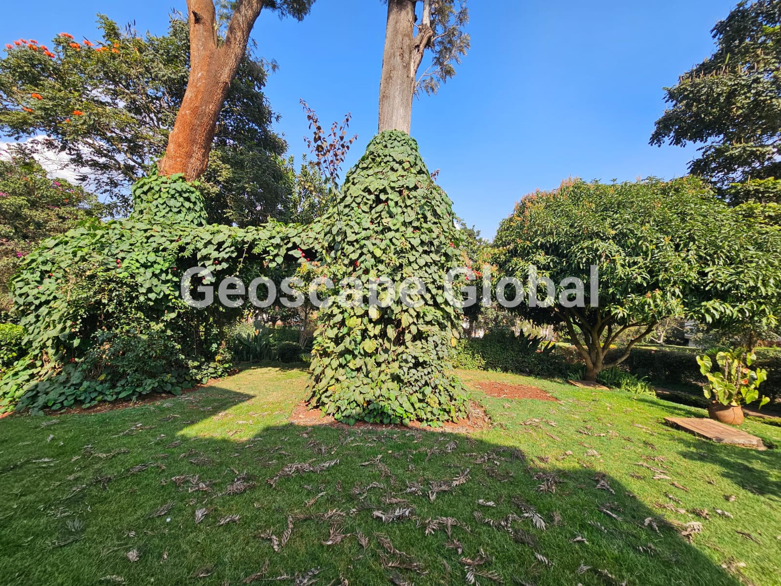 For Rent: 4-Bedroom Villa in Nyari