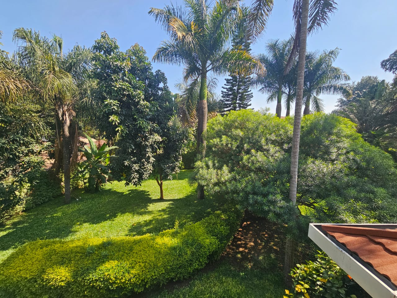 Five-Bedroom House To Let – Runda
