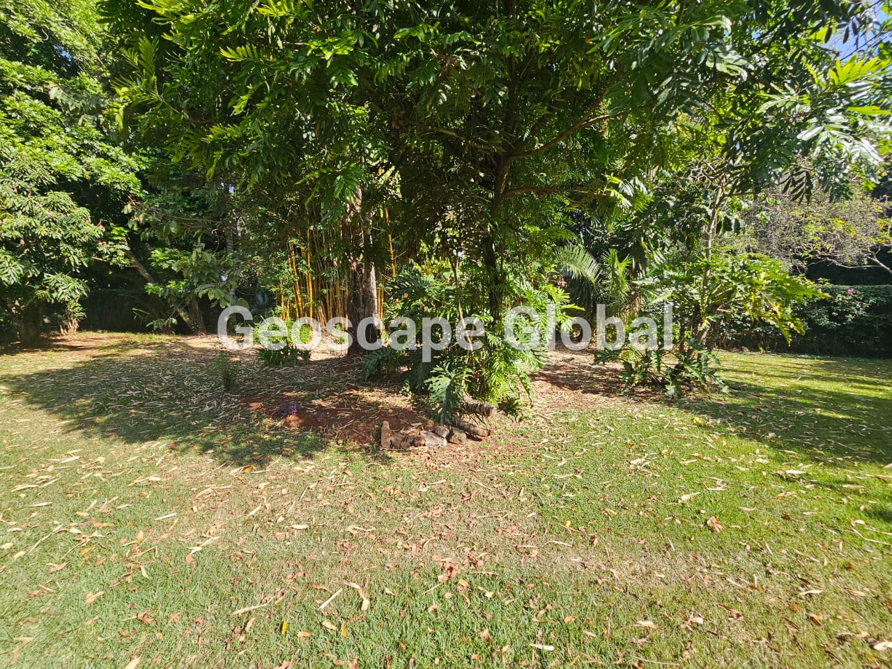 Kyuna Four Bedroom House for Rent