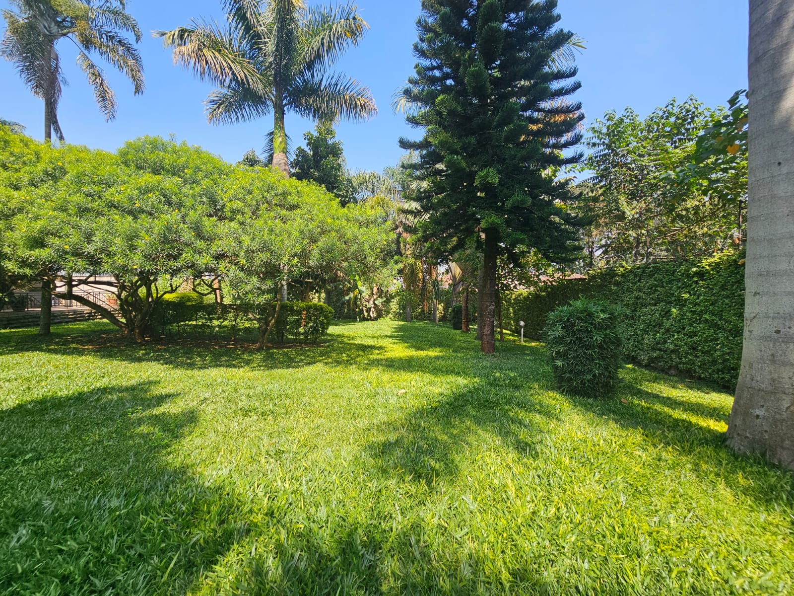 Five-Bedroom House To Let – Runda