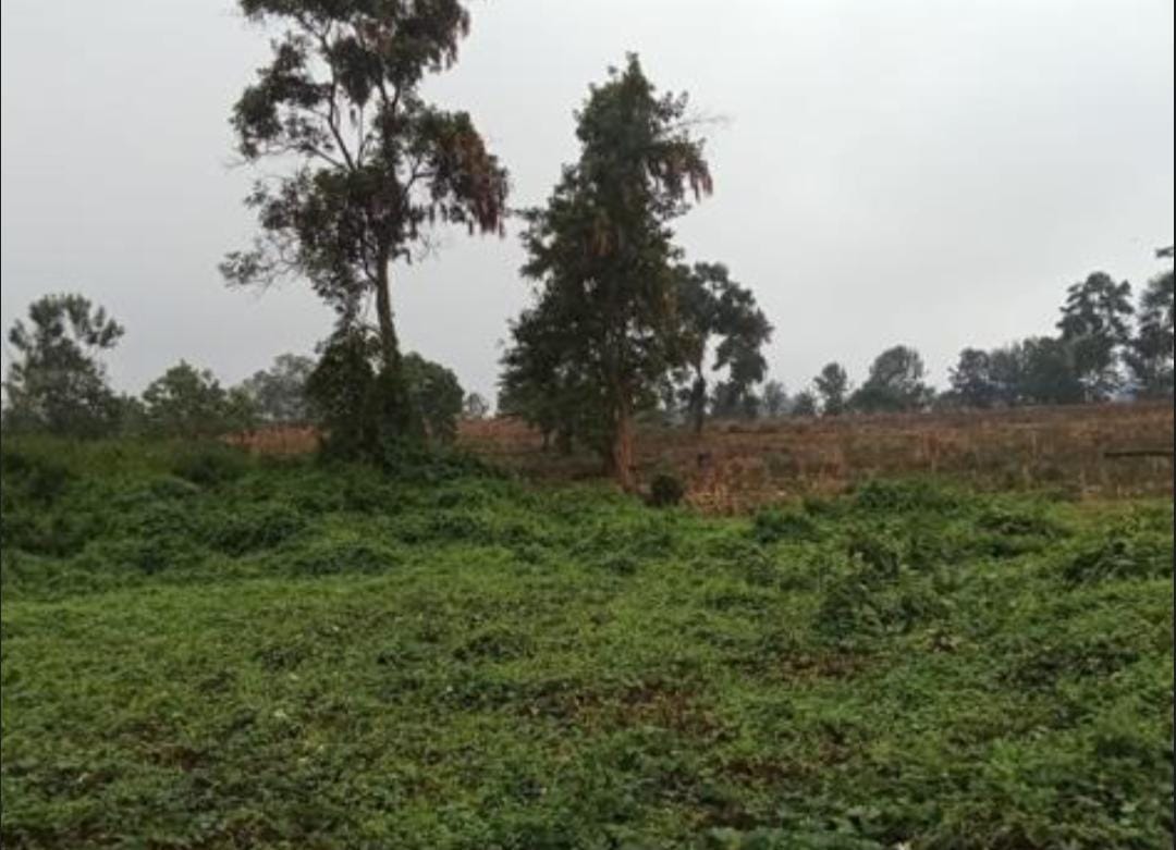 Commercial Land for Lease – Lavington