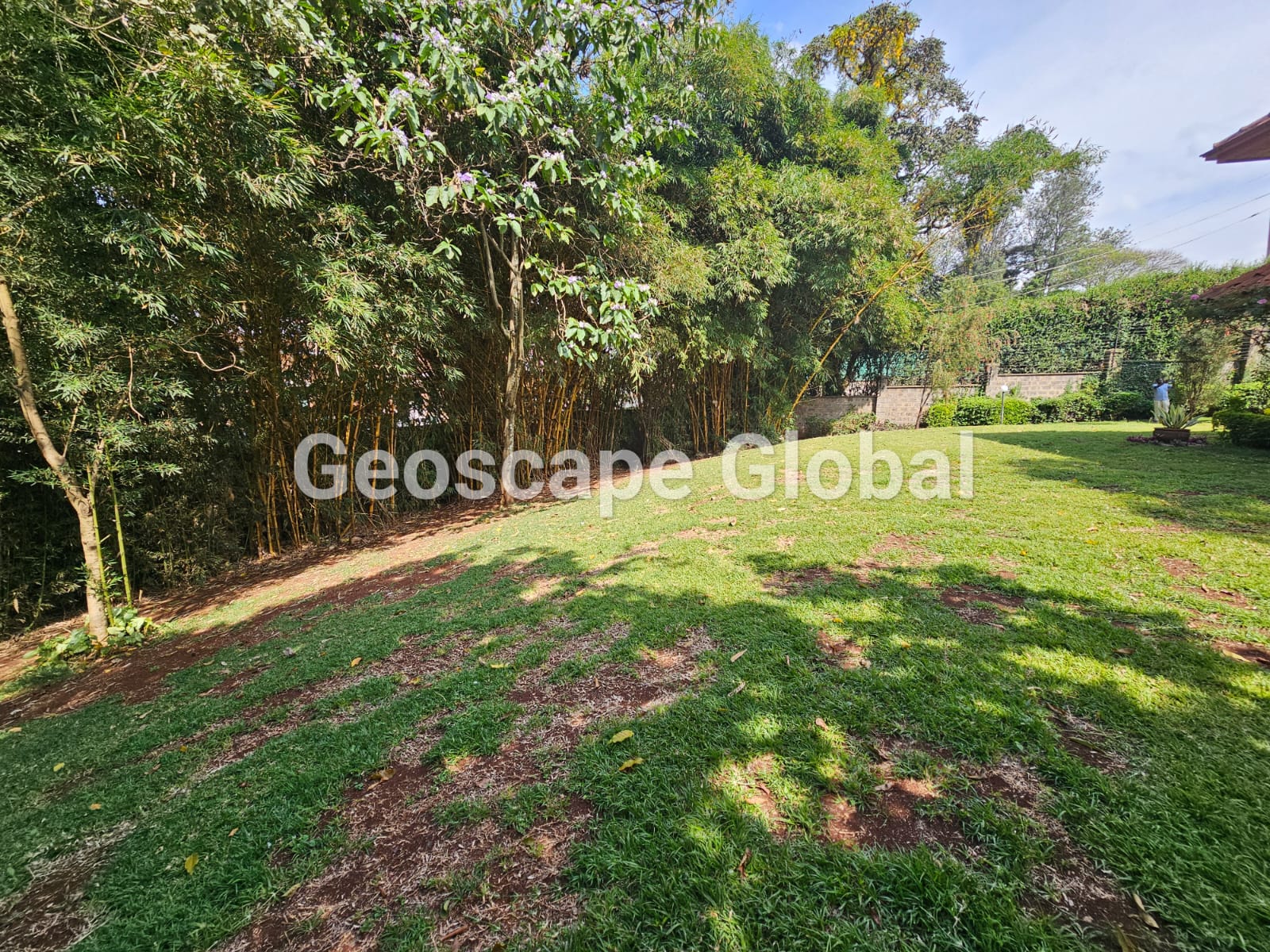 FOR RENT: Five-Bedroom House – Rosslyn