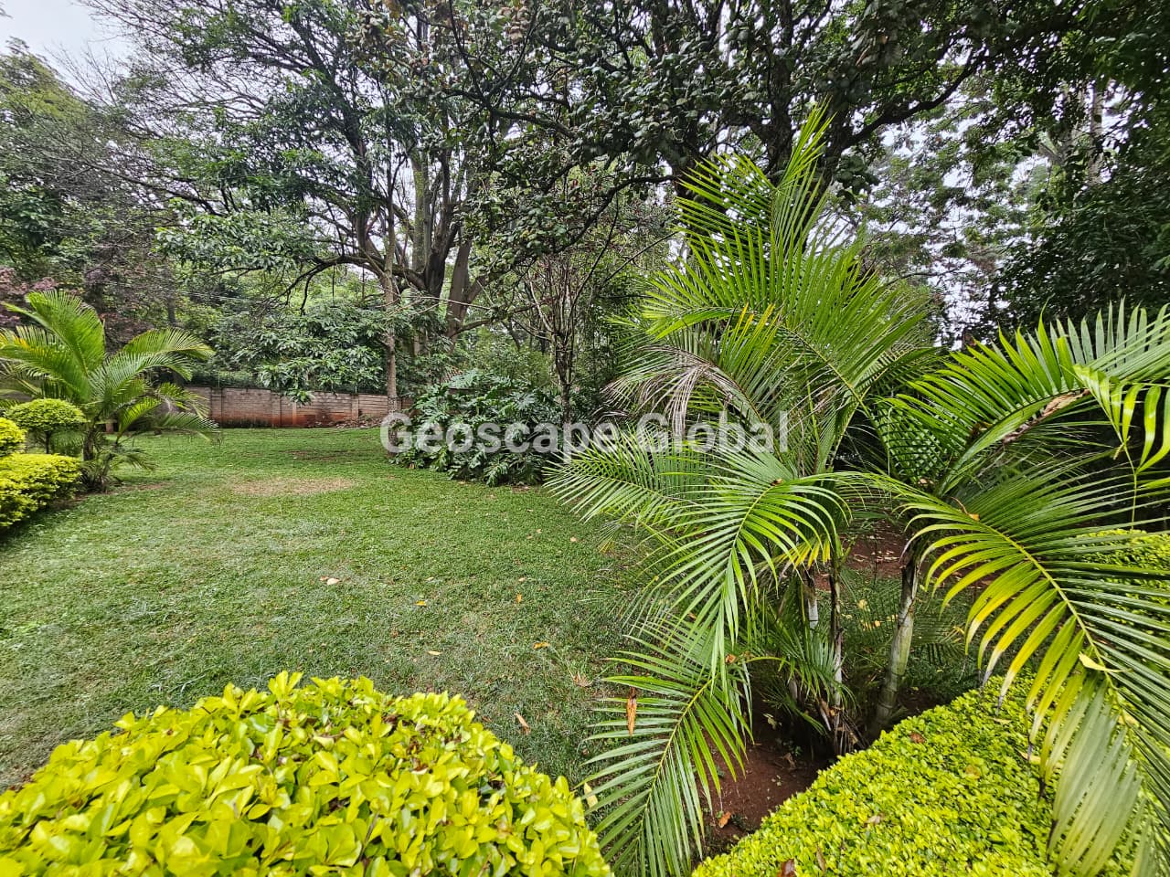 FOR RENT: 5-Bedroom House – Rosslyn