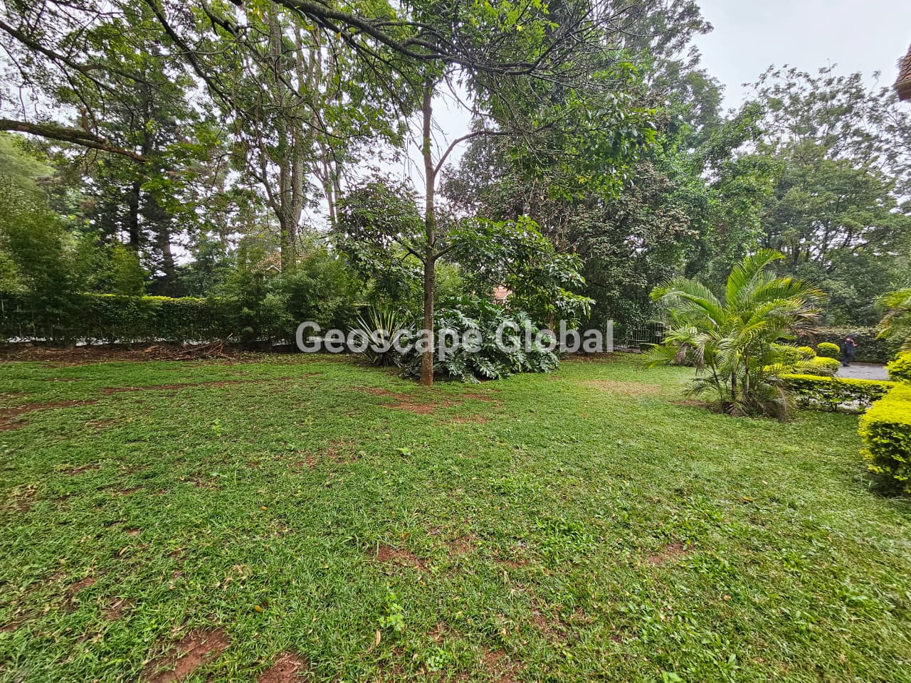 FOR RENT: 5-Bedroom House – Rosslyn