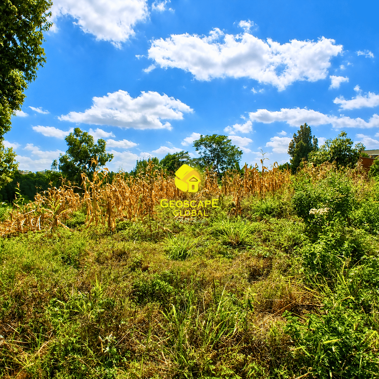 HALF-ACRE PLOT FOR SALE – KIAMBU ROAD